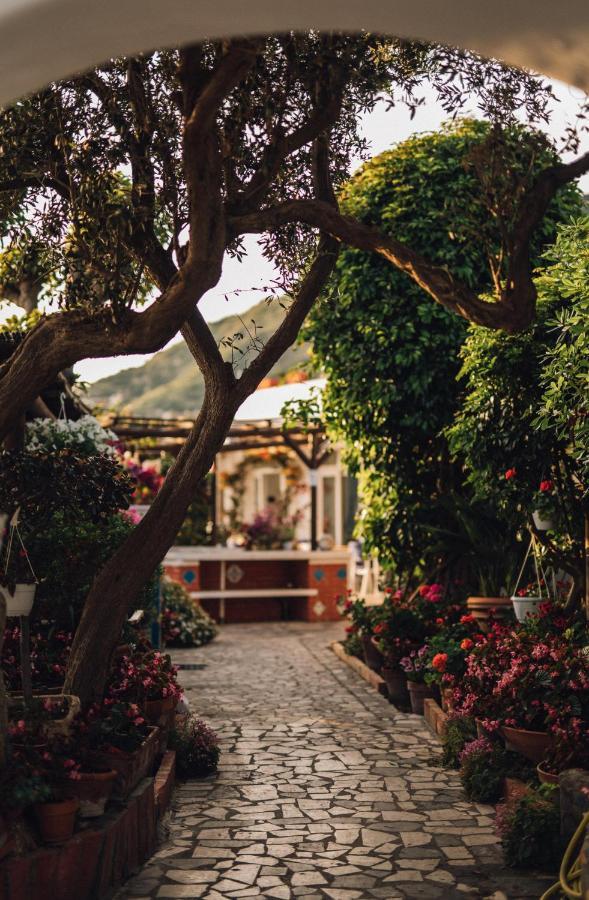 Hotel Villa Maria Sant'Angelo  외부 사진