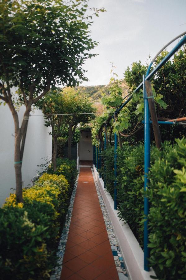 Hotel Villa Maria Sant'Angelo  외부 사진